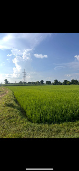  Agricultural Land for Sale in Puranpur, Pilibhit