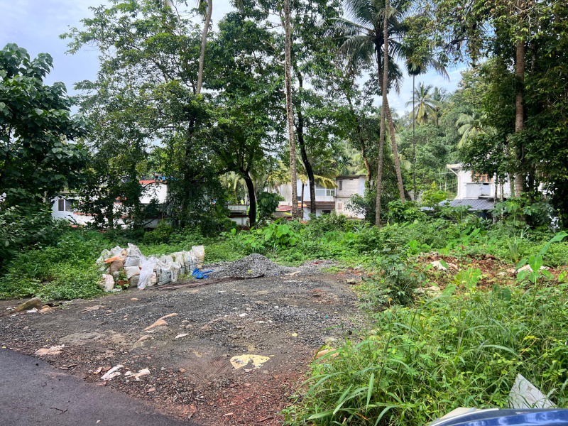  Residential Plot 7 Cent for Sale in Kunnamangalam, Kozhikode