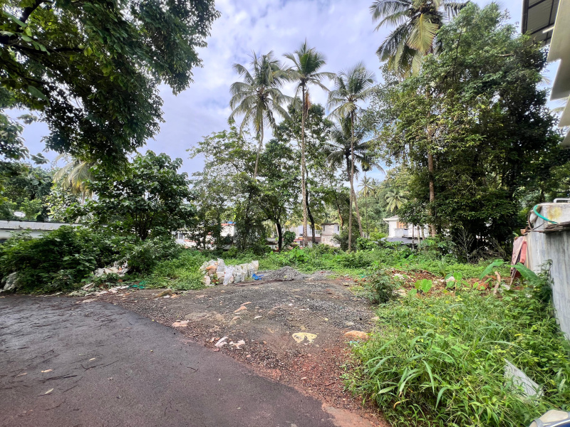  Residential Plot 7 Cent for Sale in Kunnamangalam, Kozhikode