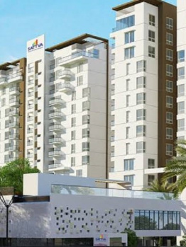 1 BHK Flat for Rent in Avinashi Road, Coimbatore