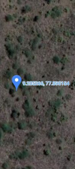  Agricultural Land for Sale in Sattur, Virudhunagar