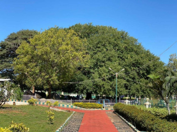  Residential Plot for Sale in Kamaraj Colony, Hosur