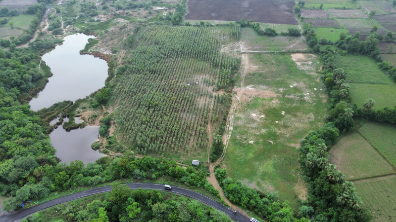 Agricultural Land 17 Bigha for Sale in Godhra, Panchmahal
