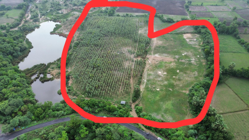  Agricultural Land 17 Bigha for Sale in Godhra, Panchmahal