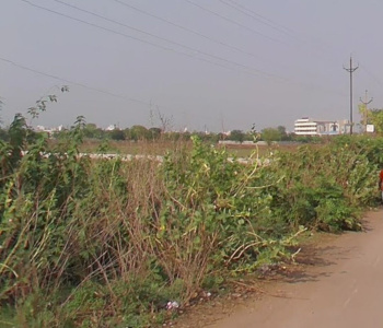  Agricultural Land for Sale in Kachna, Raipur
