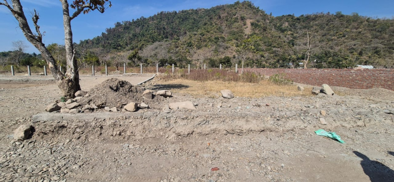  Residential Plot 1800 Sq.ft. for Sale in Aamwala, Dehradun
