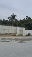 Residential Plot for Sale in Badowala, Dehradun