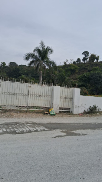  Residential Plot 1800 Sq.ft. for Sale in Badowala, Dehradun