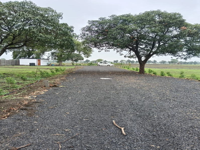 4 BHK Farm House 5040 Sq.ft. for Sale in Khajuri Kalan, Bhopal