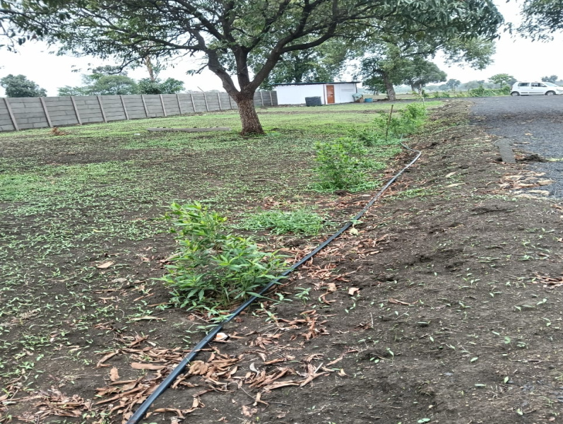 4 BHK Farm House 5040 Sq.ft. for Sale in Khajuri Kalan, Bhopal