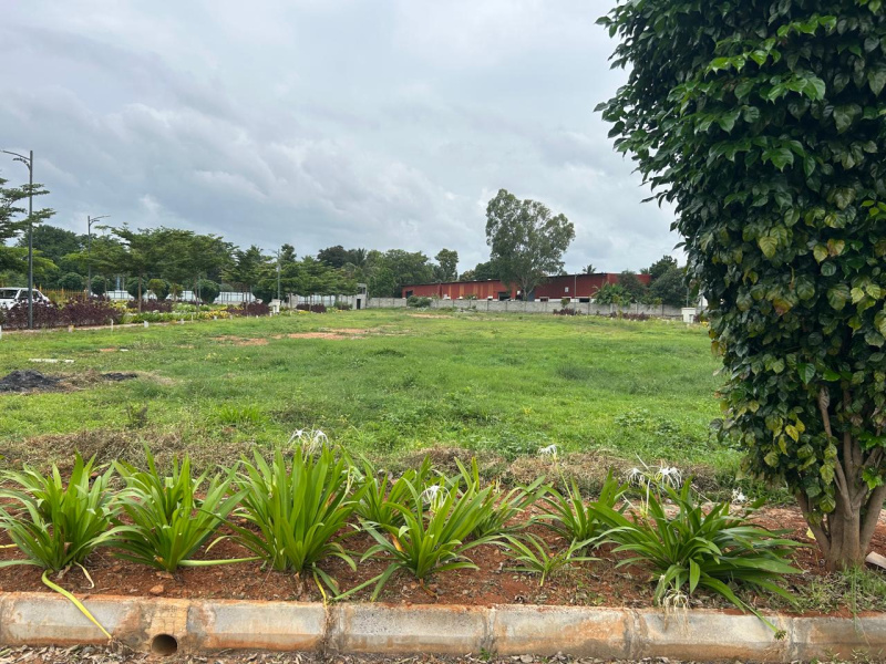  Residential Plot 1200 Sq.ft. for Sale in Kanakapura, Bangalore