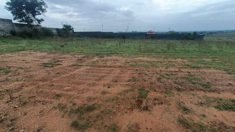  Residential Plot 3261 Sq.ft. for Sale in Ramanahalli, Mysore