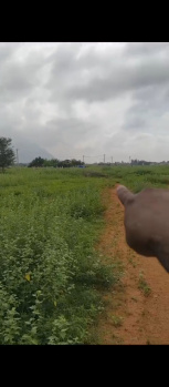 Residential Plot for Sale in Chinnalapatti, Dindigul