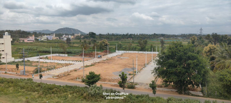  Residential Plot 1200 Sq.ft. for Sale in Maleshpalaya, Bangalore