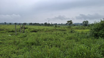  Agricultural Land for Sale in Takave, Karjat, Raigad