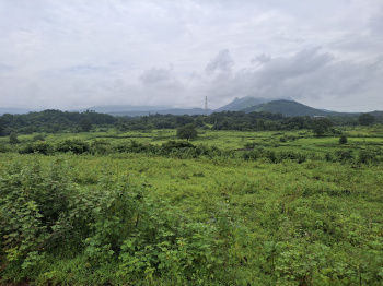  Agricultural Land for Sale in Karjat, Raigad