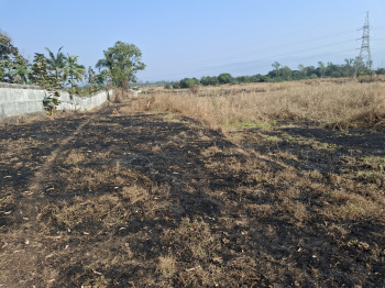 Agricultural Land for Sale in Karjat, Raigad