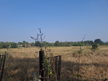  Agricultural Land for Sale in Karjat, Raigad