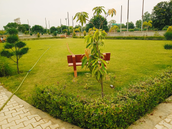  Residential Plot for Sale in Mangupura, Moradabad