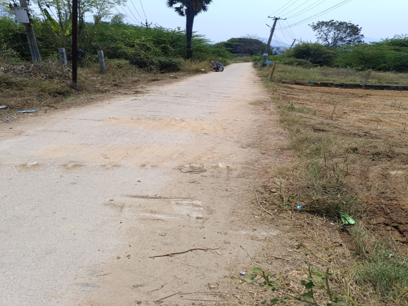  Residential Plot 126 Sq.ft. for Sale in Thondavada, Tirupati