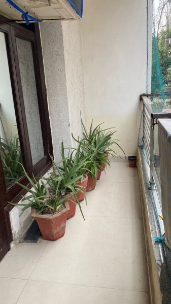 3 BHK Builder Floor 1600 Sq.ft. for Sale in Block C, Chattarpur, Delhi