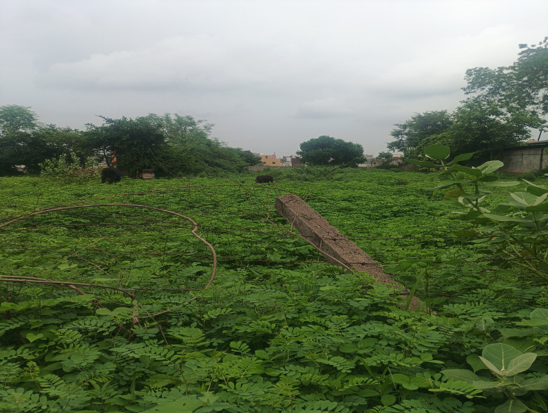  Industrial Land 2 Bigha for Sale in Manjusar GIDC, Vadodara