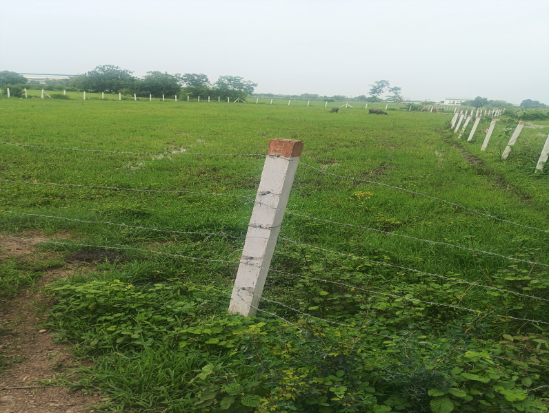  Industrial Land 50000 Sq.ft. for Sale in Sama Savli Road, Vadodara