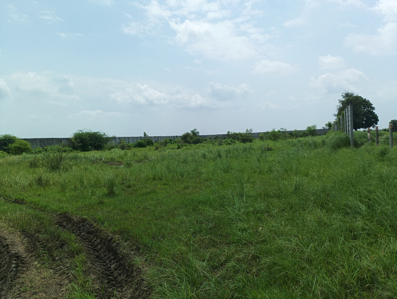  Industrial Land 5 Bigha for Sale in Savli, Vadodara