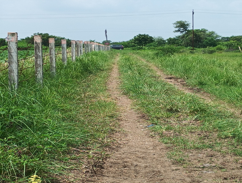  Industrial Land 5 Bigha for Sale in Savli, Vadodara