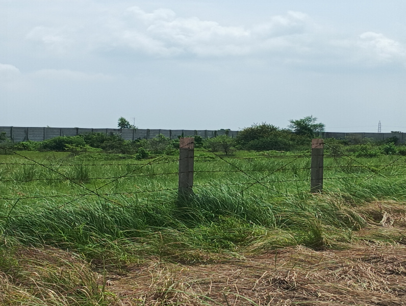  Industrial Land 5 Bigha for Sale in Savli, Vadodara