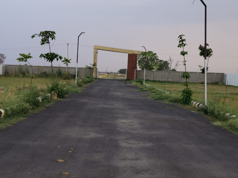  Residential Plot 100 Sq. Yards for Sale in Solra, Palwal