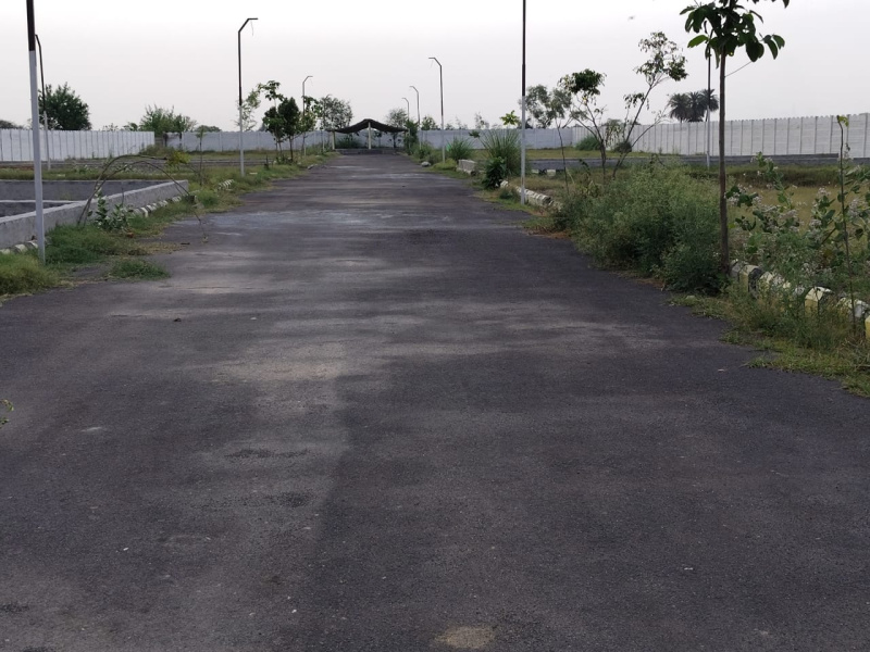  Residential Plot 100 Sq. Yards for Sale in Solra, Palwal