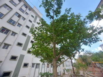 1 BHK Flat for Sale in Pirangut, Pune
