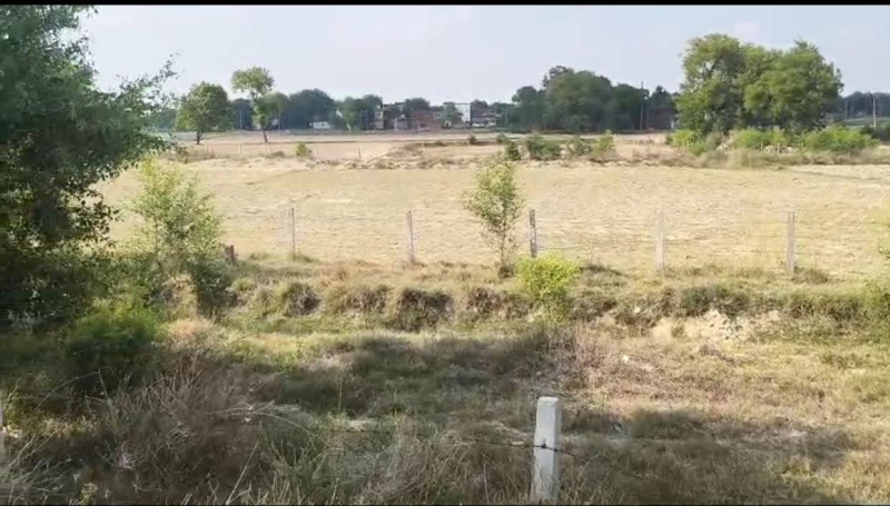  Residential Plot 1350 Sq.ft. for Sale in Babatpur, Varanasi