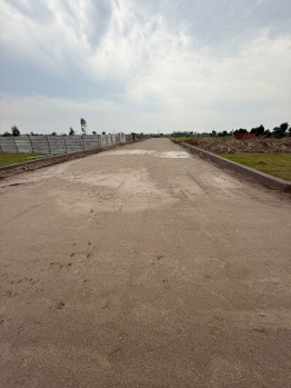  Residential Plot for Sale in Yamuna Expressway, Greater Noida