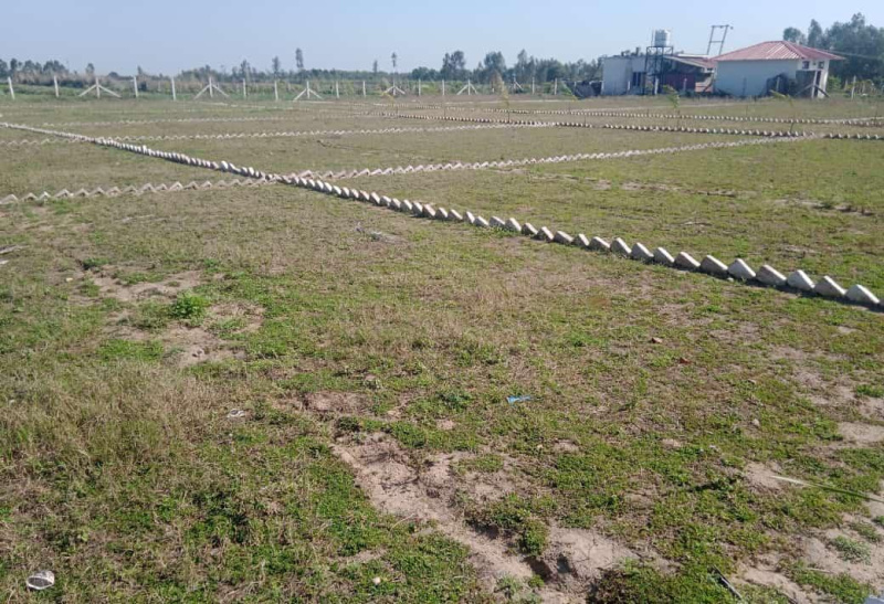  Residential Plot 200 Sq. Yards for Sale in Herbertpur, Dehradun