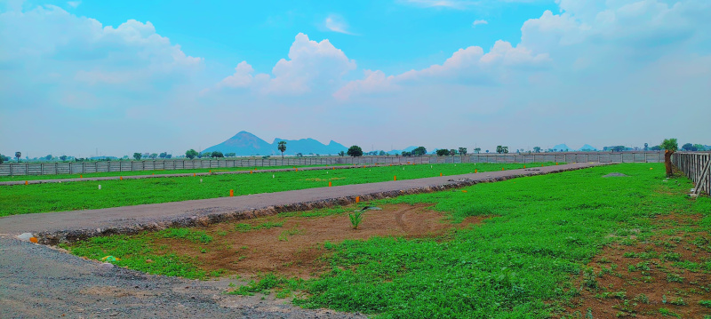  Residential Plot 150 Sq. Yards for Sale in Tadikonda, Guntur