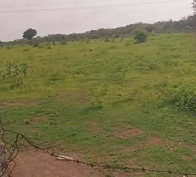  Farm House 12 Acre for Sale in Shankarpally, Rangareddy