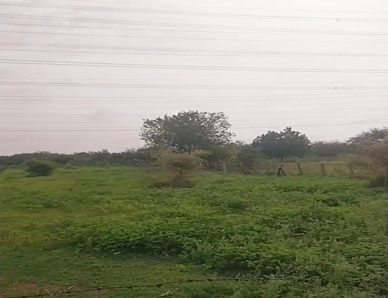  Farm House 12 Acre for Sale in Shankarpally, Rangareddy