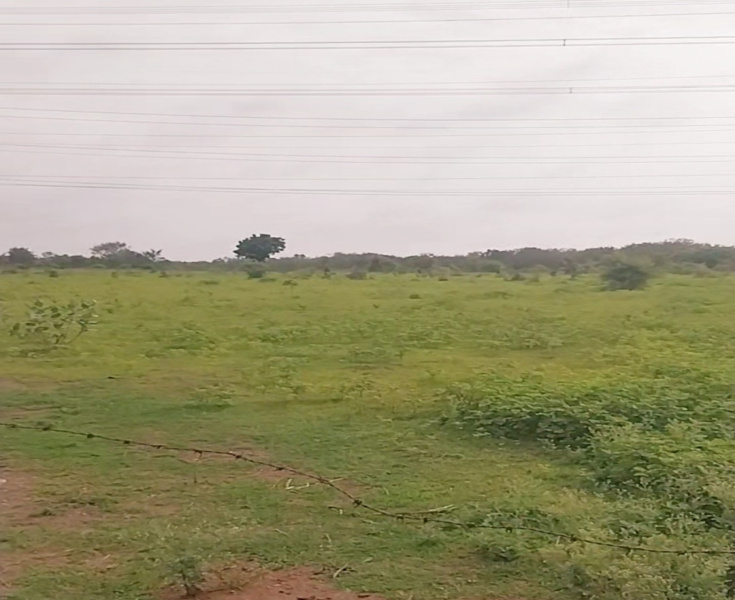  Farm House 12 Acre for Sale in Shankarpally, Rangareddy