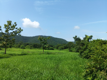  Residential Plot for Sale in Alibag, Raigad