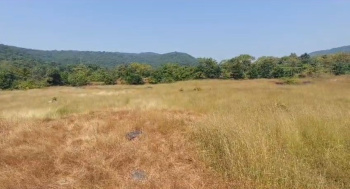  Commercial Land for Sale in Mhasla, Raigad