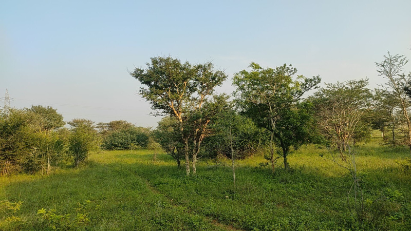  6 Acre Industrial Land for Sale in Aravakurichi, Karur