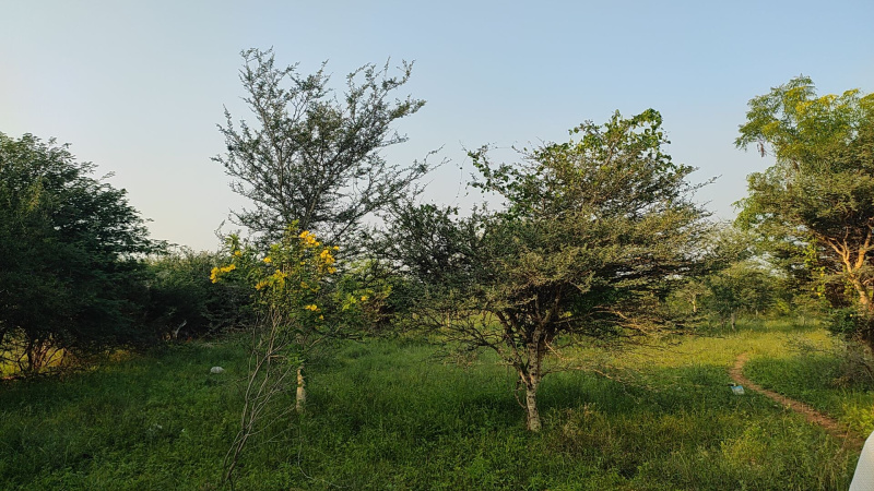  6 Acre Industrial Land for Sale in Aravakurichi, Karur