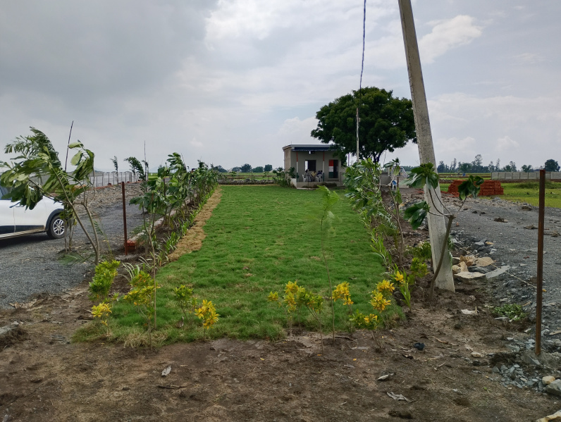  Residential Plot 1000 Sq.ft. for Sale in Rewa