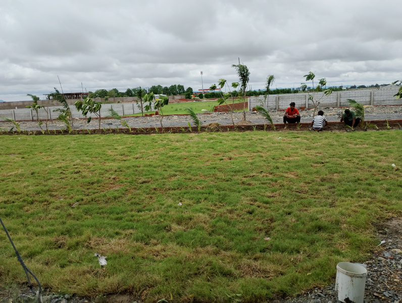  Residential Plot 1000 Sq.ft. for Sale in Rewa