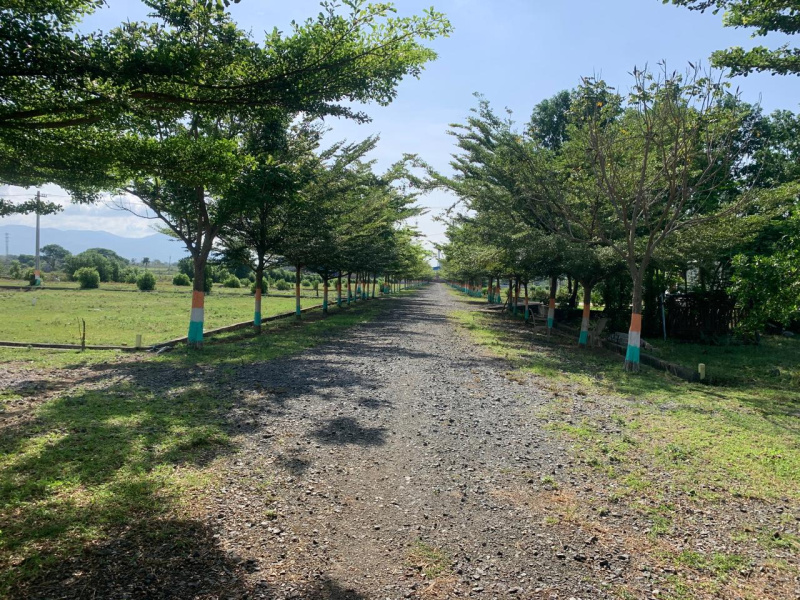  Commercial Land 15000 Sq. Yards for Sale in Tanikella, Khammam
