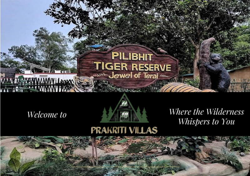 1 BHK Villa 500 Sq.ft. for Sale in Puranpur, Pilibhit