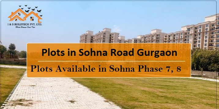 Residential Plot 100 Sq.ft. for Sale in Sohna Road, Gurgaon
