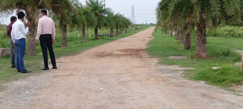 1 BHK Farm House 1008 Sq.ft. for Sale in Techzone, Greater Noida